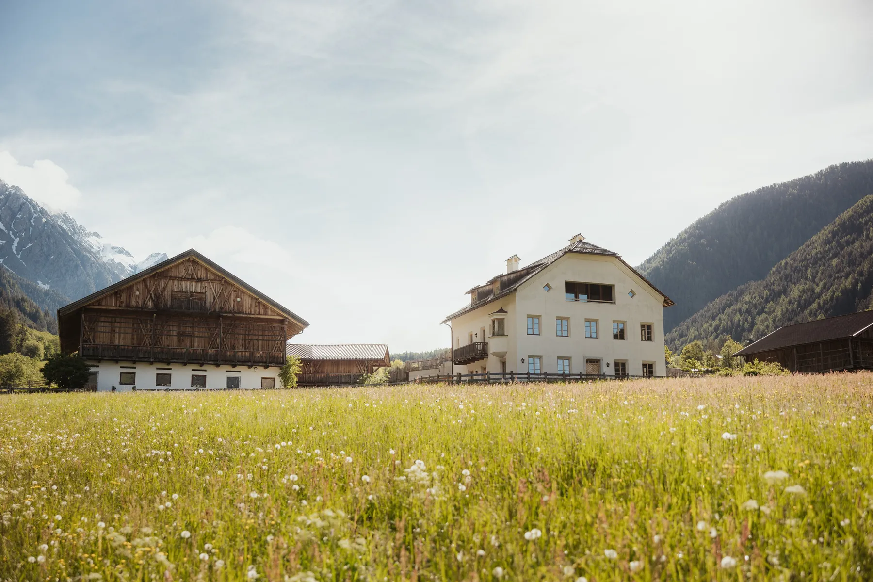 Der Halbwöhrerhof über der Blumenwiese, dahinter der Berghang