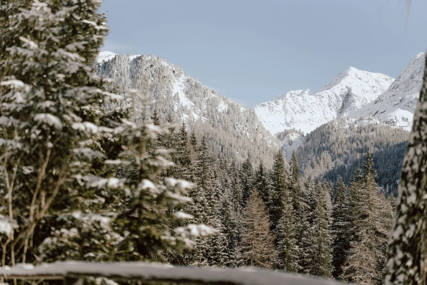 Verschneite Fichten und Berggipfel im Antholzer Tal im Winter