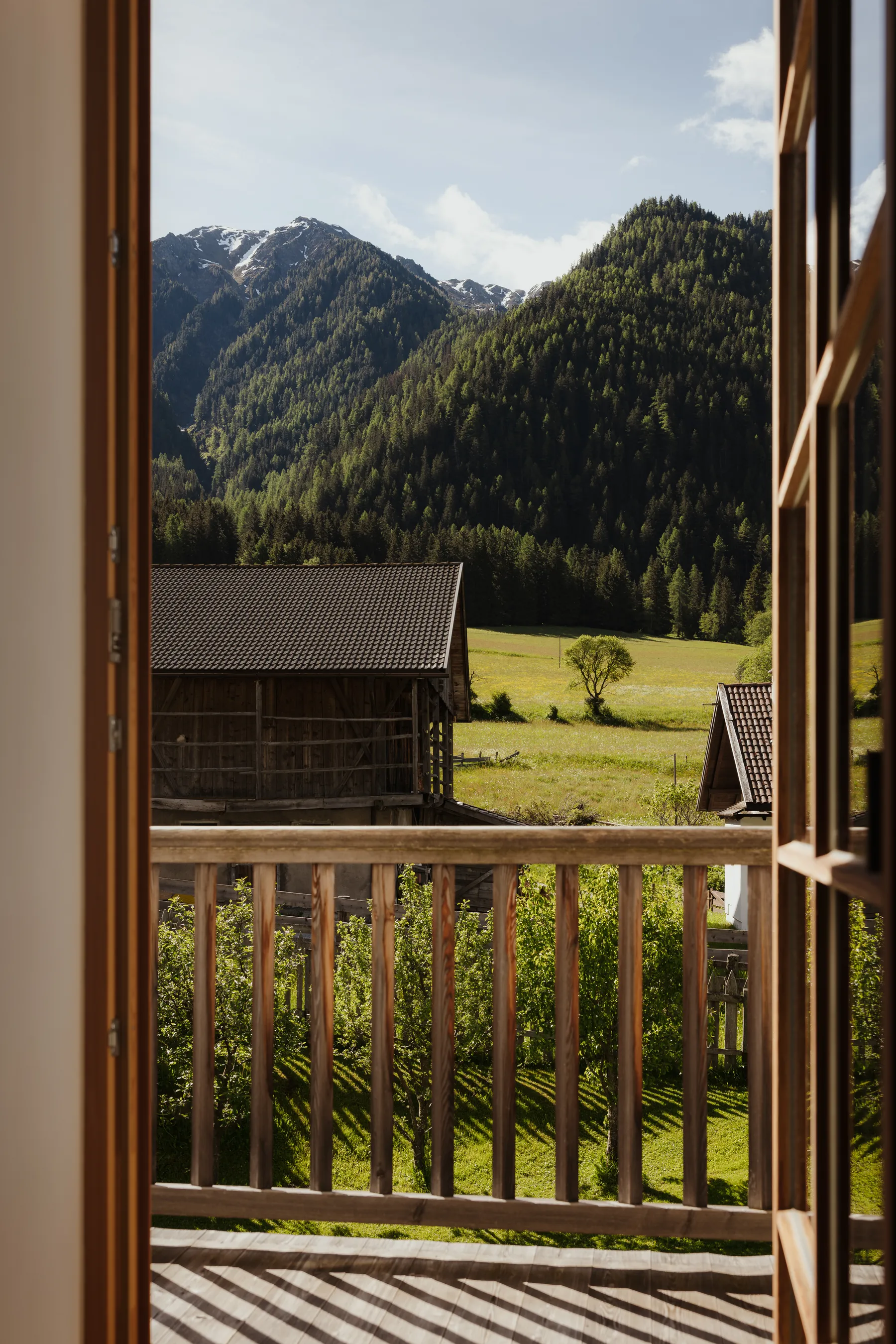 Blick vom Balkon auf Wiese und Wald